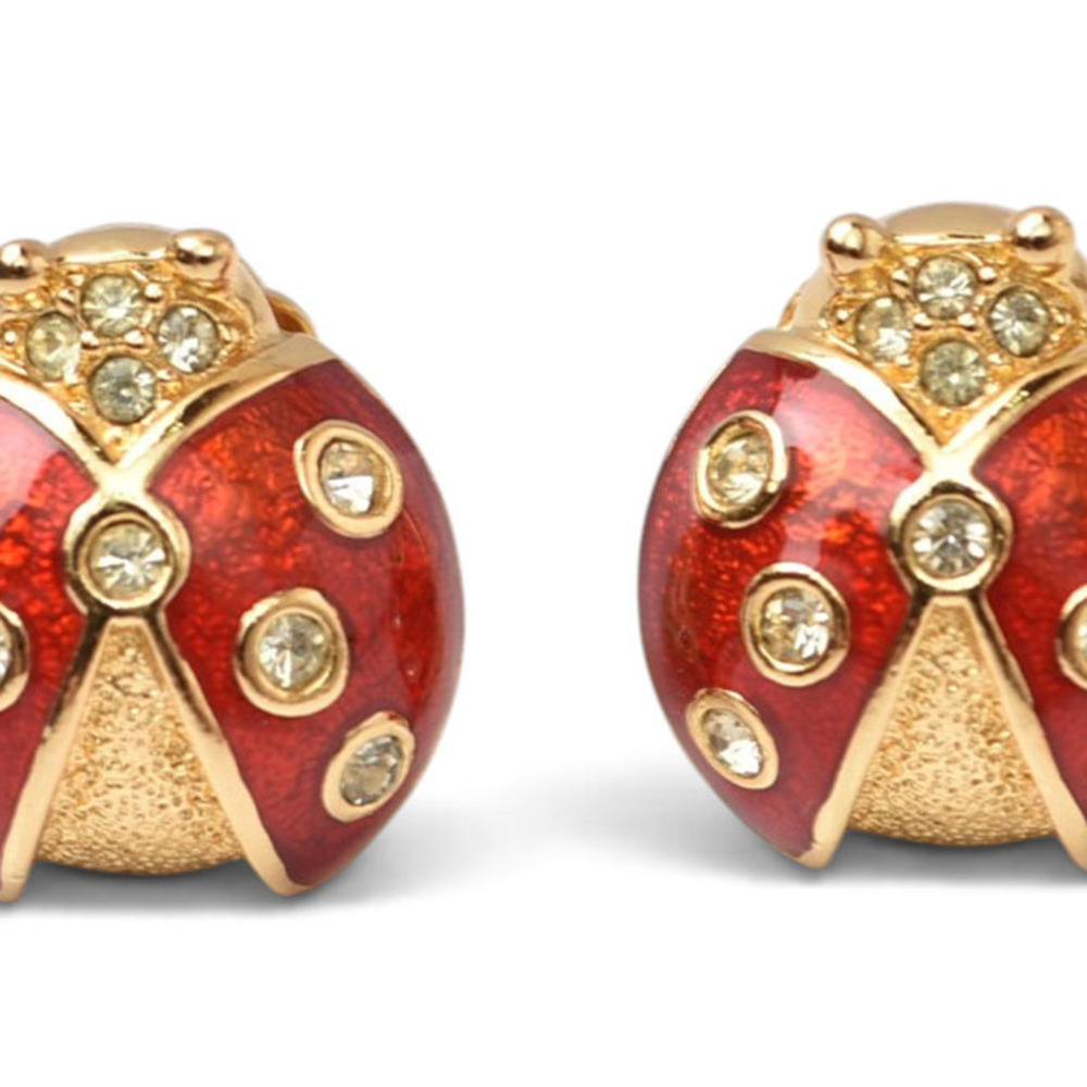 DIOR Red Earrings